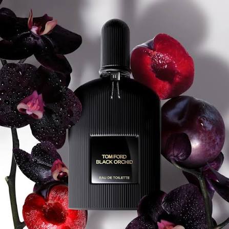Tom Ford Black Orchid EDP 50ml Perfume TOM-BLA-100 - Fragrance Outlet