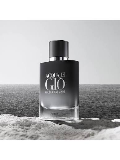 Giorgio Armani Acqua di Giò EDP 100ml Perfume GIO-ACQ-100 - Fragrance Outlet