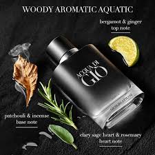 Giorgio Armani Acqua di Giò EDP 100ml Perfume GIO-ACQ-100 - Fragrance Outlet