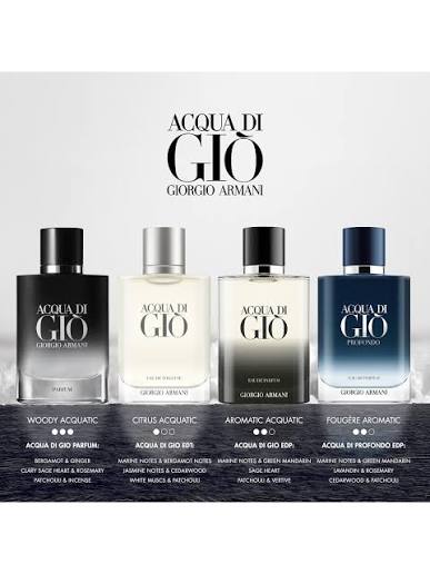 Giorgio Armani Acqua di Giò EDP 100ml Perfume GIO-ACQ-100 - Fragrance Outlet