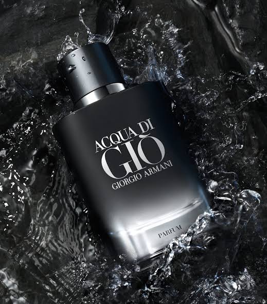 Giorgio Armani Acqua di Giò EDP 100ml Perfume GIO-ACQ-100 - Fragrance Outlet