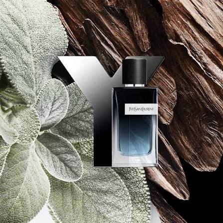YSL Y Eau de Parfum 100ml — The Scent of a New Generation Perfume YSL-Y-100 - Fragrance Outlet