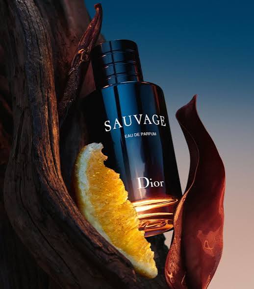Dior Sauvage EDP 100ml Perfume DIO-SUA-100 - Fragrance Outlet