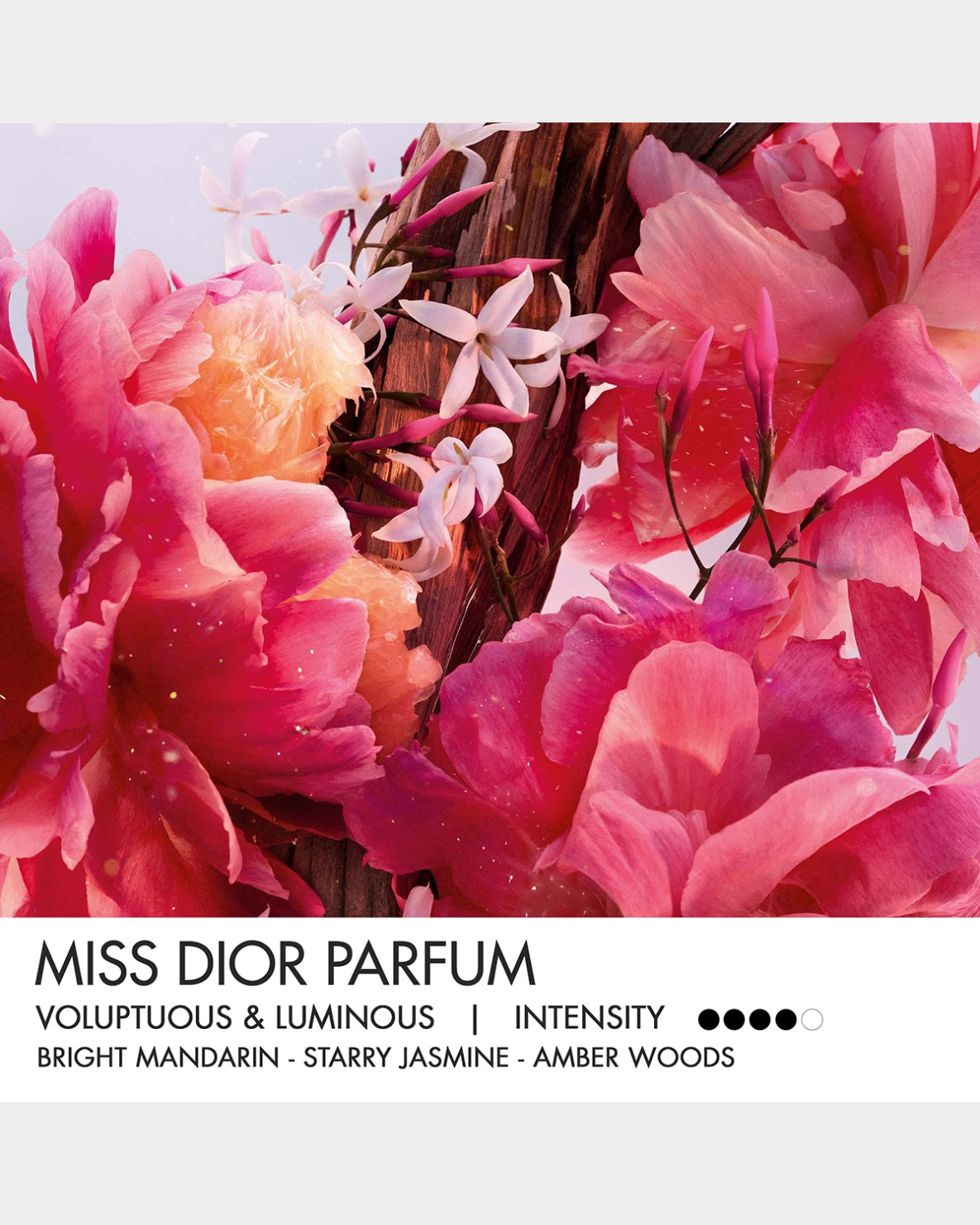 Miss Dior Eau de Parfum 100ml — The Scent of Love